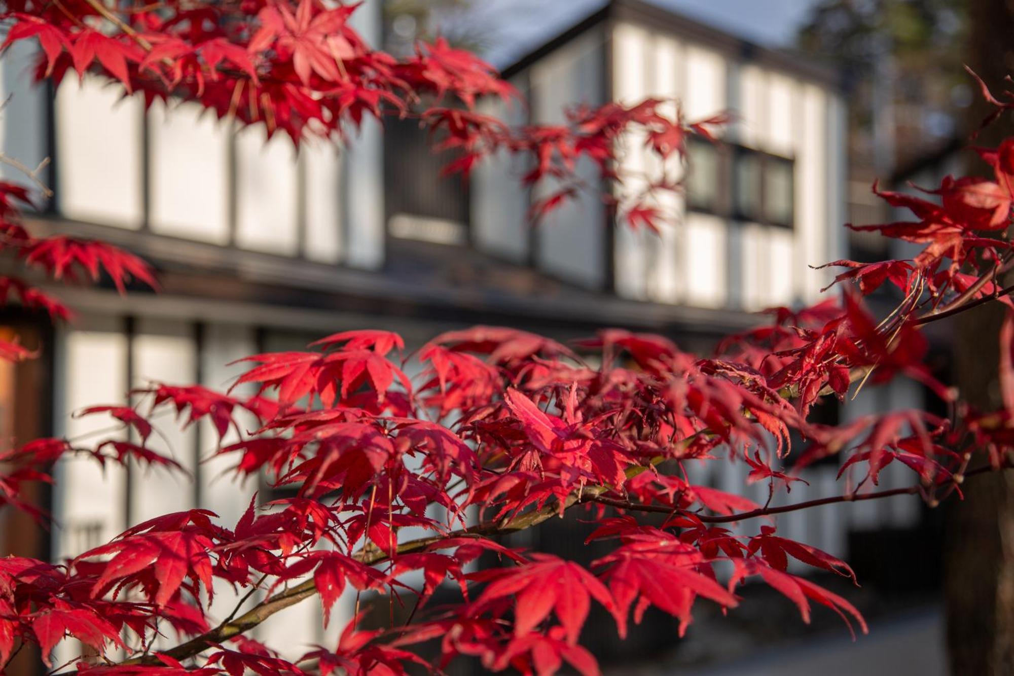 Glamping Villa Hanz Kawaguchiko 富士河口湖町 部屋 写真