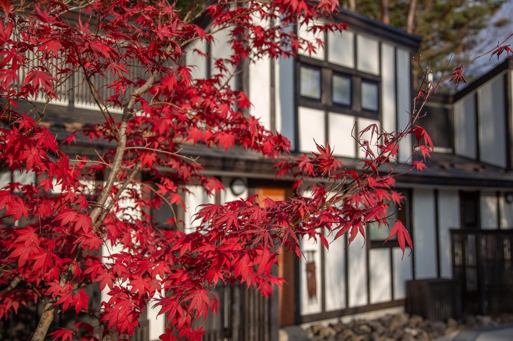 Glamping Villa Hanz Kawaguchiko 富士河口湖町 エクステリア 写真